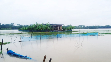 মোরেলগঞ্জে ৪০ গ্রামের মানুষ পানিবন্দি