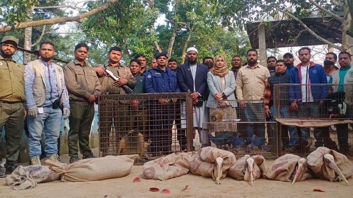 অবৈধভাবে আটক ৭৪টি বন্যপ্রাণী উদ্ধার